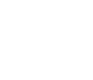 FOX FOX white נאות מרגלית נאות מרגלית
