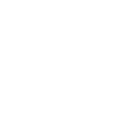 FOX FOX white נבון נבון