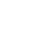FOX FOX white נגב סיני נגב סיני