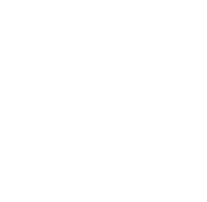 FOX FOX white נווה שלום נווה שלום