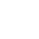 FOX FOX white נועם נועם
