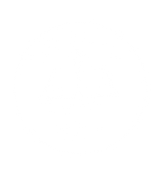 FOX FOX white נועם אליהו נועם אליהו