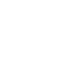 FOX FOX white נועם הרואה נועם הרואה