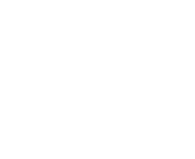 FOX FOX white נועם חיים נועם חיים