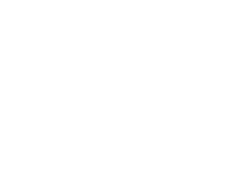 FOX FOX white נועם חיים נועם חיים