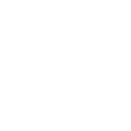 FOX FOX white נועם נריה נועם נריה
