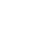 FOX FOX white נופי ארבל נופי ארבל