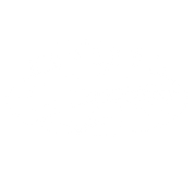 FOX FOX white נופים נופים