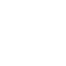 FOX FOX white נטעים מיתרים נטעים מיתרים