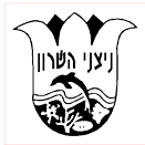 FOX FOX black ניצני השרון ניצני השרון