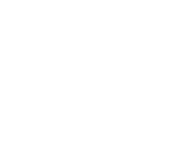 FOX FOX white ע"ש דוד בן גוריון ע"ש דוד בן גוריון