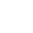 FOX FOX white עירוני מקיף שי עגנון עירוני מקיף שי עגנון