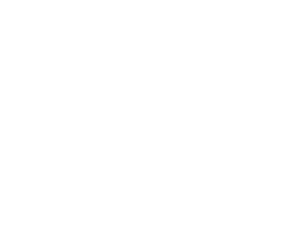 FOX FOX white עליות עליות