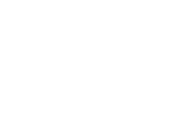 FOX FOX white עמי אסף עמי אסף