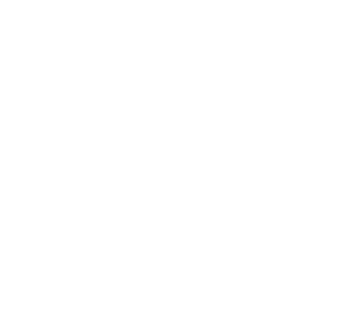 FOX FOX white עמית עמית