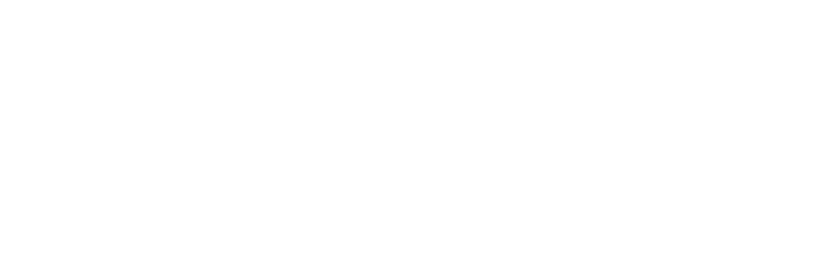 FOX FOX white עמל אפלמן דימונה עמל אפלמן דימונה