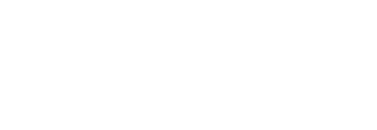 FOX FOX white עמל זינמן דימונה עמל זינמן דימונה