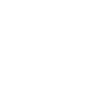 FOX FOX colorful צהלה צהלה