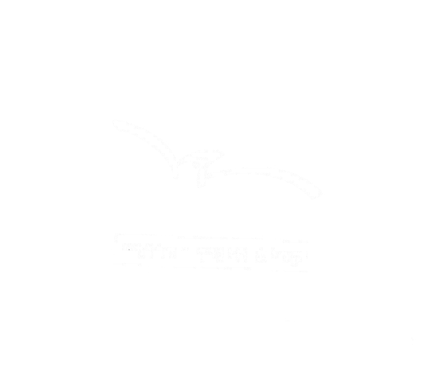 FOX FOX white קרית חינוך דרור קרית חינוך דרור