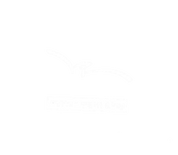 FOX FOX white קרית חינוך דרור קרית חינוך דרור