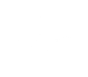 FOX FOX white רבין רבין