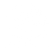 FOX FOX white רמות ממלכתי ג רמות ממלכתי ג