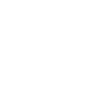 FOX FOX white ש"י עגנון ש"י עגנון