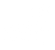 FOX FOX white שורשים שורשים