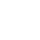 FOX FOX white שמואל הנגיד שמואל הנגיד