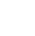 FOX FOX colorful שמעוני שמעוני