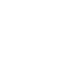 FOX FOX white שער האריות שער האריות