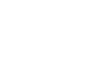 FOX FOX white שש שנתי שמיר שש שנתי שמיר