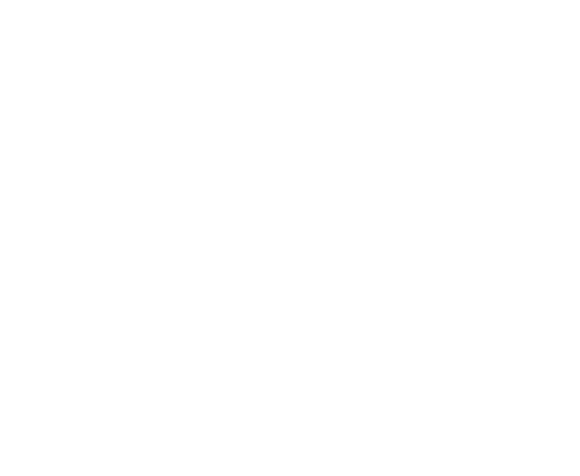 FOX FOX white שש שנתי שמיר שש שנתי שמיר