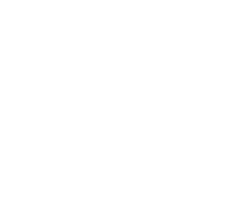 FOX FOX white ת"ת וב"י נתיב מאיר ת"ת וב"י נתיב מאיר