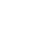 FOX FOX white ת"ת ובי' סיני ת"ת ובי' סיני