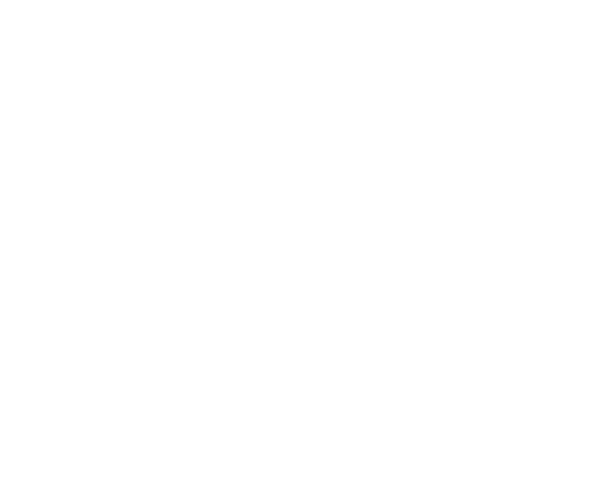 FOX FOX white תבנית החינוך המוזהב תבנית החינוך המוזהב