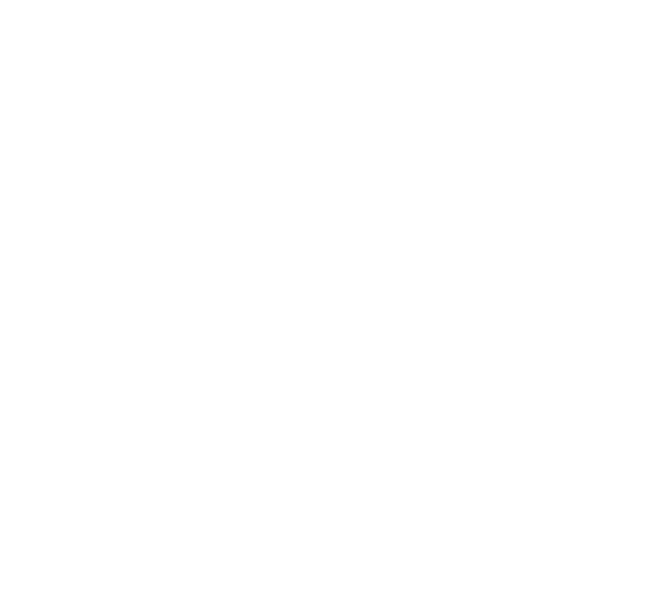 FOX FOX white תורני אקדמי באר יעקב תורני אקדמי באר יעקב