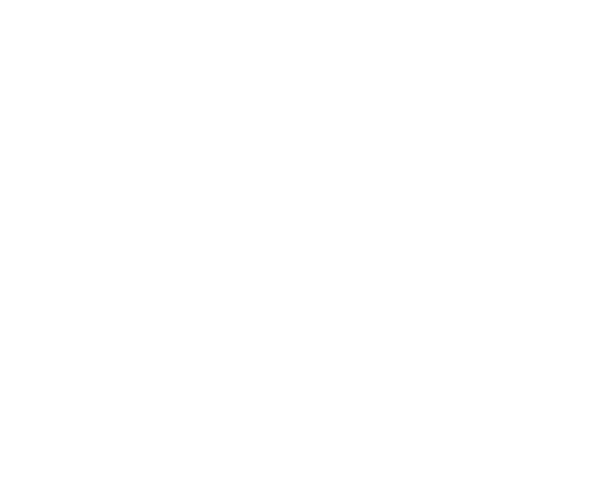 FOX FOX white תיכון בגין תיכון בגין