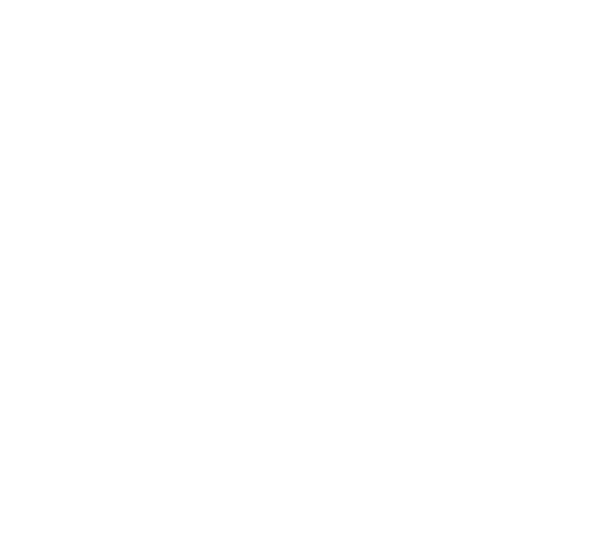 FOX FOX white תיכון הראל תיכון הראל