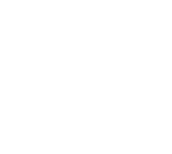 FOX FOX תיכון חדש רמות תיכון חדש רמות