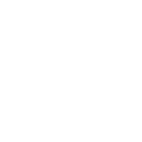 FOX FOX white תיכון ע"ש בויאר תיכון ע"ש בויאר