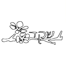 FOX black תיכון שקד SC0998000199 תיכון שקד