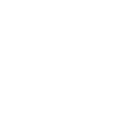 FOX FOX white תיכון תמר אריאל תיכון תמר אריאל