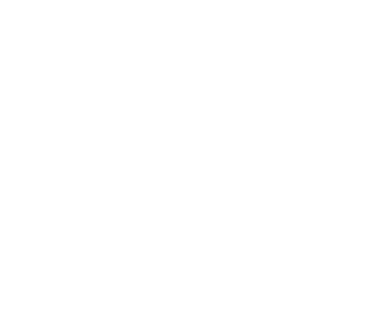 FOX FOX תלמוד תורה מעלה שמעוני FOX | ממ"ד מעלה שמעוני | קנה עכשיו