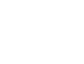 FOX FOX white מקיף הדסים FOX | מקיף הדסים | קנה עכשיו