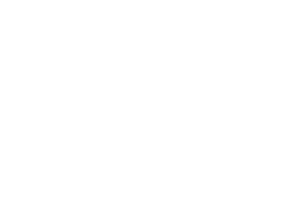 FOX FOX white מקיף הדסים FOX | מקיף הדסים | קנה עכשיו