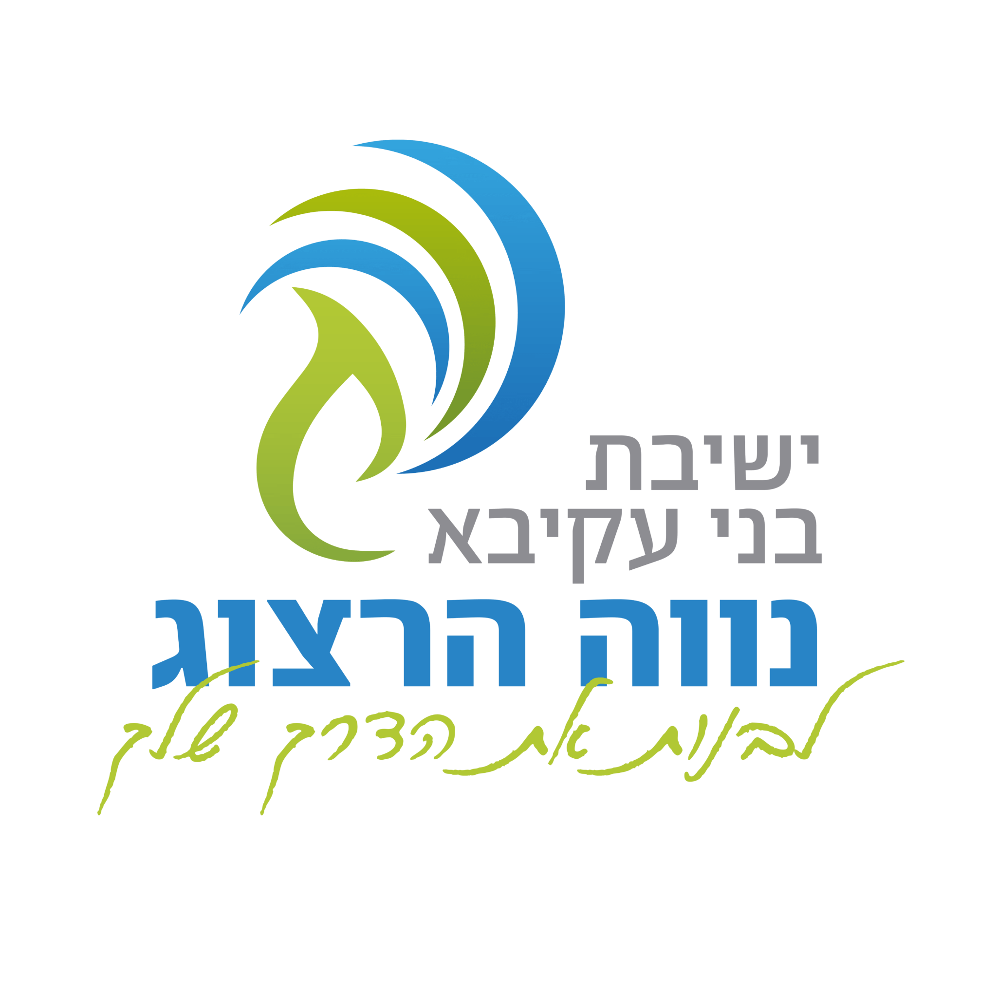 FOX FOX colorful ישיבת נוה הרצוג FOX | ישיבת נוה הרצוג | קנה עכשיו