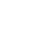 FOX FOX white שמעוני FOX | שמעוני | קנה עכשיו
