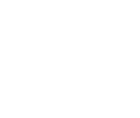 FOX FOX white שמעוני FOX | שמעוני | קנה עכשיו