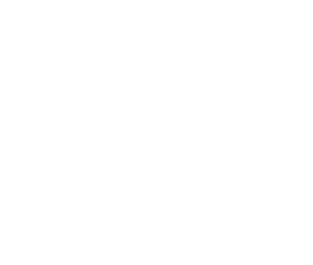 FOX FOX white שמעוני FOX | שמעוני | קנה עכשיו